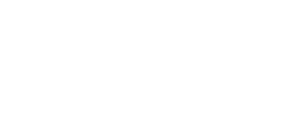light logo